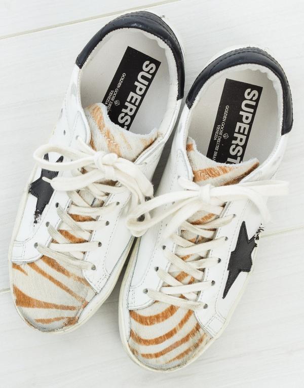 golden goose zebrate